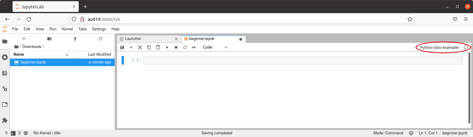 Kernel in use